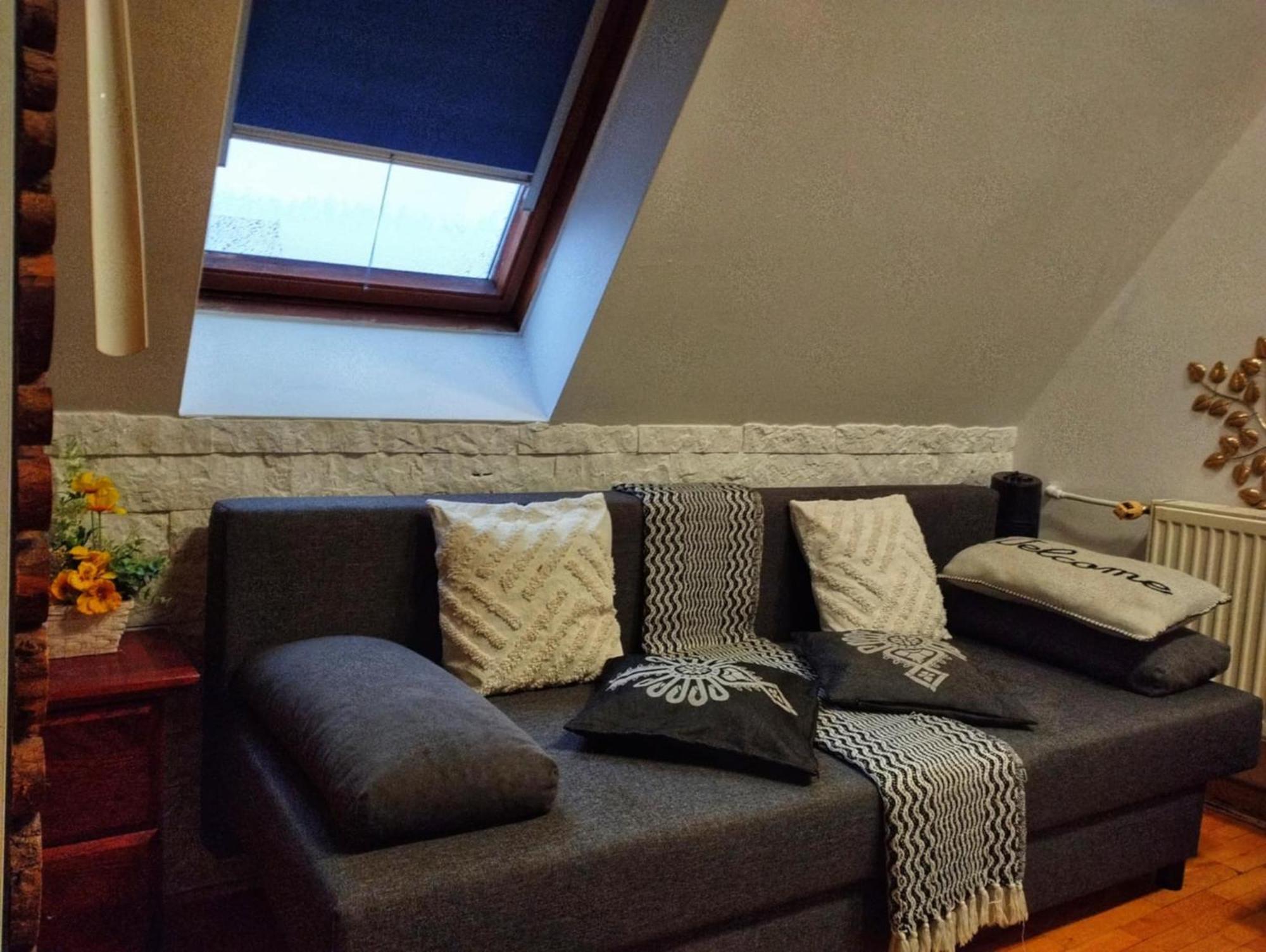 Willa Czajka - Widokowe Apartamenty Закопане Экстерьер фото