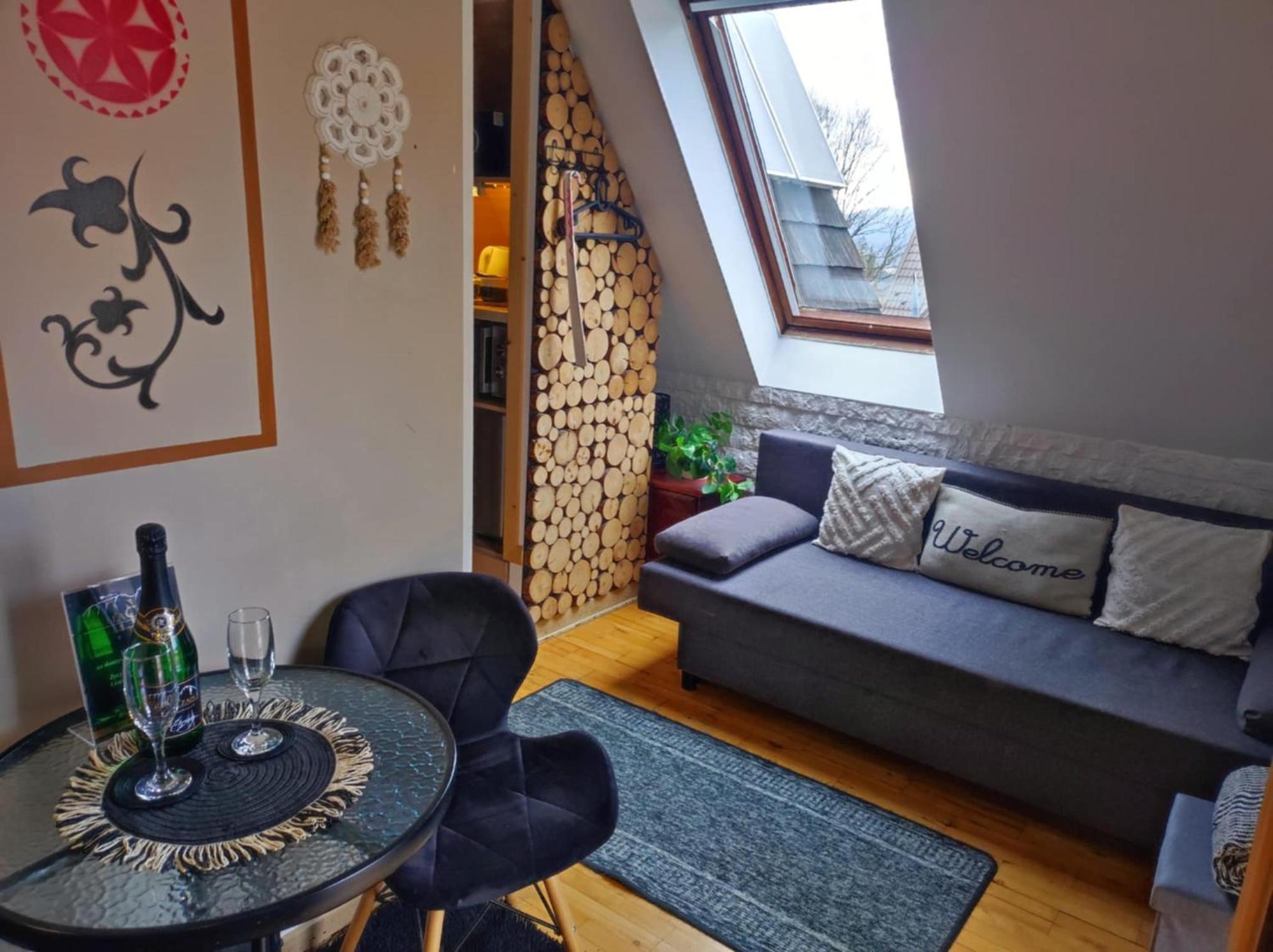 Willa Czajka - Widokowe Apartamenty Закопане Экстерьер фото